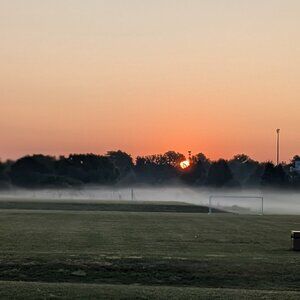 Meet your Posher, Natasha